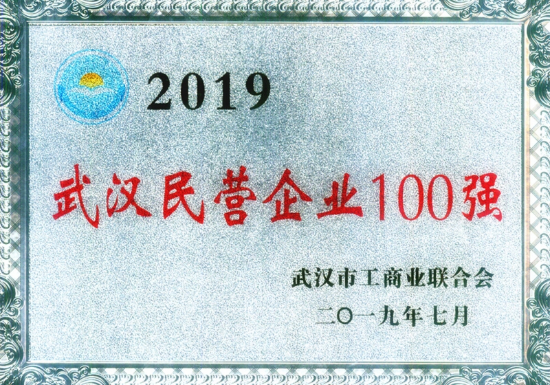 2019年武汉市民营企业100强